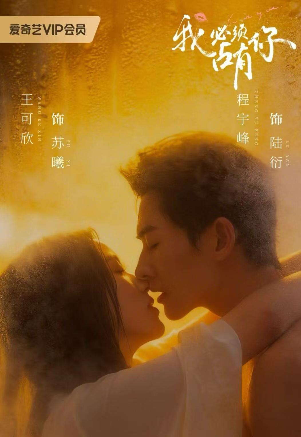 我必须占有你(全集)